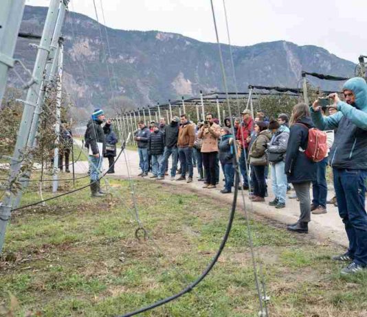 Interpoma Tours 2026: la innovación vista sobre el terreno