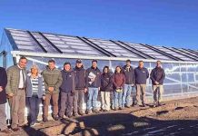 Invernaderos de nueva generación fortalecen la agricultura familiar en la Región de Magallanes Invernaderos de nueva generación fortalecen la agricultura familiar en la Región de Magallanes