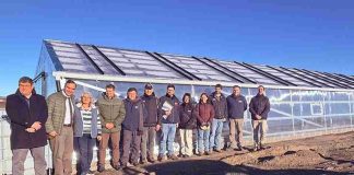 Invernaderos de nueva generación fortalecen la agricultura familiar en la Región de Magallanes Invernaderos de nueva generación fortalecen la agricultura familiar en la Región de Magallanes