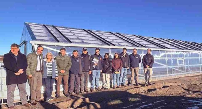 Invernaderos de nueva generación fortalecen la agricultura familiar en la Región de Magallanes Invernaderos de nueva generación fortalecen la agricultura familiar en la Región de Magallanes