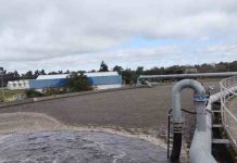 Investigadores USS desarrollarán biofertilizante a partir de fósforo recuperado de aguas servidas Investigadores USS desarrollarán biofertilizante a partir de fósforo recuperado de aguas servidas