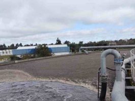 Investigadores USS desarrollarán biofertilizante a partir de fósforo recuperado de aguas servidas Investigadores USS desarrollarán biofertilizante a partir de fósforo recuperado de aguas servidas