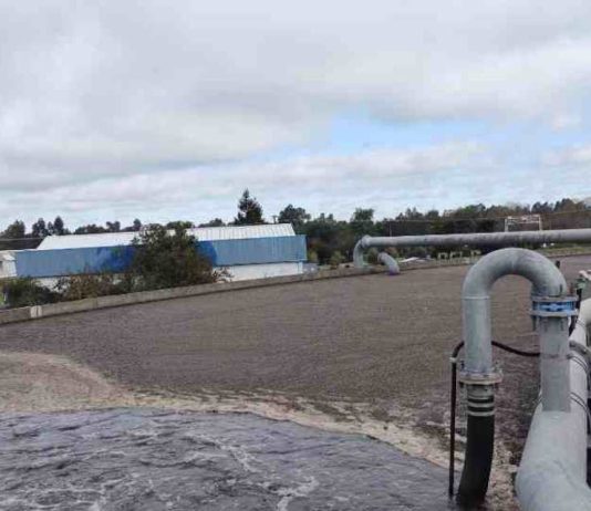 Investigadores USS desarrollarán biofertilizante a partir de fósforo recuperado de aguas servidas Investigadores USS desarrollarán biofertilizante a partir de fósforo recuperado de aguas servidas