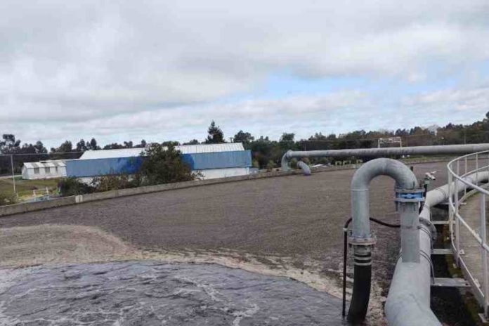 Investigadores USS desarrollarán biofertilizante a partir de fósforo recuperado de aguas servidas Investigadores USS desarrollarán biofertilizante a partir de fósforo recuperado de aguas servidas