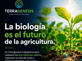 Terragenesis | Regenerando Ecosistemas para Alimentar el Futuro Terragenesis | Regenerando Ecosistemas para Alimentar el Futuro