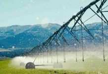 La agricultura apuesta por el análisis de datos para mejorar la eficiencia del riego