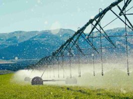 La agricultura apuesta por el análisis de datos para mejorar la eficiencia del riego La agricultura apuesta por el análisis de datos para mejorar la eficiencia del riego