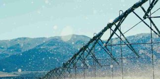 La agricultura apuesta por el análisis de datos para mejorar la eficiencia del riego La agricultura apuesta por el análisis de datos para mejorar la eficiencia del riego