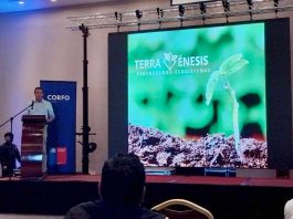 Columna de opinión | La crisis de los fertilizantes o la crisis de un paradigma obsoleto La crisis de los fertilizantes o la crisis de un paradigma obsoleto