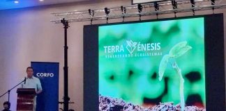 Columna de opinión | La crisis de los fertilizantes o la crisis de un paradigma obsoleto La crisis de los fertilizantes o la crisis de un paradigma obsoleto