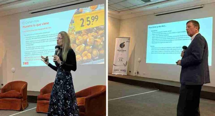 Lanzamiento de PTI Tecnofruta Biobío Comité de Arándanos y Comité de Cerezas de Frutas de Chile analizan la situación y los desafíos de estas industrias Lanzamiento de PTI Tecnofruta Biobío: Comité de Arándanos y Comité de Cerezas de Frutas de Chile analizan la situación y los desafíos de estas industrias