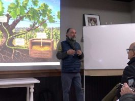 Lanzan proyecto que permitirá mejorar la longevidad de los viñedos Lanzan proyecto que permitirá mejorar la longevidad de los viñedos