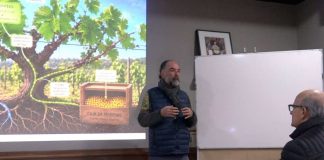 Lanzan proyecto que permitirá mejorar la longevidad de los viñedos Lanzan proyecto que permitirá mejorar la longevidad de los viñedos