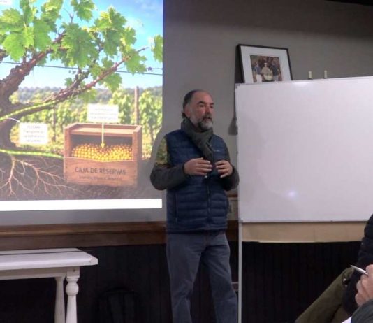 Lanzan proyecto que permitirá mejorar la longevidad de los viñedos