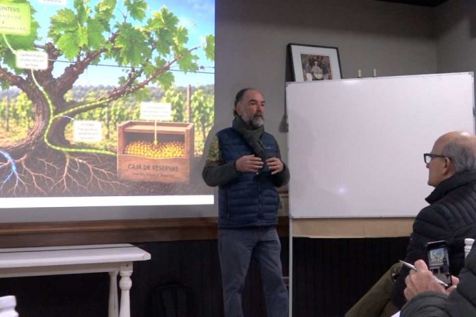 Lanzan proyecto que permitirá mejorar la longevidad de los viñedos Lanzan proyecto que permitirá mejorar la longevidad de los viñedos