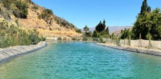 Llaman a agricultores y regantes de Coquimbo a postular a concurso CNR para fortalecer la seguridad hídrica Llaman a agricultores y regantes de Coquimbo a postular a concurso CNR para fortalecer la seguridad hídrica