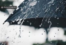 Chile bajo alerta agropecuaria: dos nuevos sistemas frontales llegan esta semana sobre suelos saturados y el país acumula más de 300 mm al sur del Maule Chile bajo alerta agropecuaria: dos nuevos sistemas frontales llegan esta semana sobre suelos saturados y el país acumula más de 300 mm al sur del Maule
