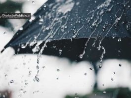 Chile bajo alerta agropecuaria: dos nuevos sistemas frontales llegan esta semana sobre suelos saturados y el país acumula más de 300 mm al sur del Maule Chile bajo alerta agropecuaria: dos nuevos sistemas frontales llegan esta semana sobre suelos saturados y el país acumula más de 300 mm al sur del Maule