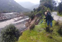 MINAGRI activa Comité Sectorial de Emergencia y despliega estrategia tecnológica ante el Fenómeno de El Niño MINAGRI activa Comité Sectorial de Emergencia y despliega estrategia tecnológica ante el Fenómeno de El Niño