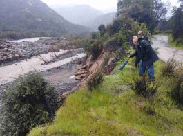 MINAGRI activa Comité Sectorial de Emergencia y despliega estrategia tecnológica ante el Fenómeno de El Niño MINAGRI activa Comité Sectorial de Emergencia y despliega estrategia tecnológica ante el Fenómeno de El Niño