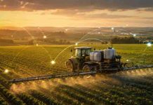 Márgenes ajustados impulsan un nuevo modelo de acceso a insumos en el agro brasileño Márgenes ajustados impulsan un nuevo modelo de acceso a insumos en el agro brasileño