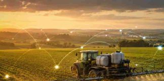 Márgenes ajustados impulsan un nuevo modelo de acceso a insumos en el agro brasileño Márgenes ajustados impulsan un nuevo modelo de acceso a insumos en el agro brasileño