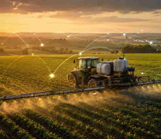 Márgenes ajustados impulsan un nuevo modelo de acceso a insumos en el agro brasileño Márgenes ajustados impulsan un nuevo modelo de acceso a insumos en el agro brasileño