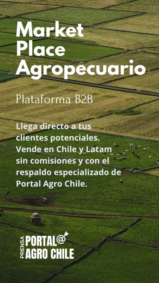 MarketPlace Agropecuario B2B
