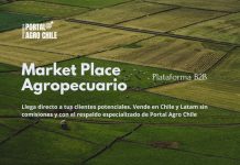 Portal Agro Chile Lanza la Primera Plataforma de Negocios B2B para la Industria Agropecuaria sin Comisiones Portal Agro Chile Lanza la Primera Plataforma de Negocios B2B para la Industria Agropecuaria sin Comisiones