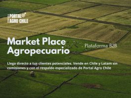 Portal Agro Chile Lanza la Primera Plataforma de Negocios B2B para la Industria Agropecuaria sin Comisiones Portal Agro Chile Lanza la Primera Plataforma de Negocios B2B para la Industria Agropecuaria sin Comisiones