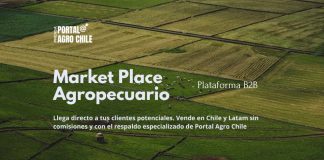 Portal Agro Chile Lanza la Primera Plataforma de Negocios B2B para la Industria Agropecuaria sin Comisiones
