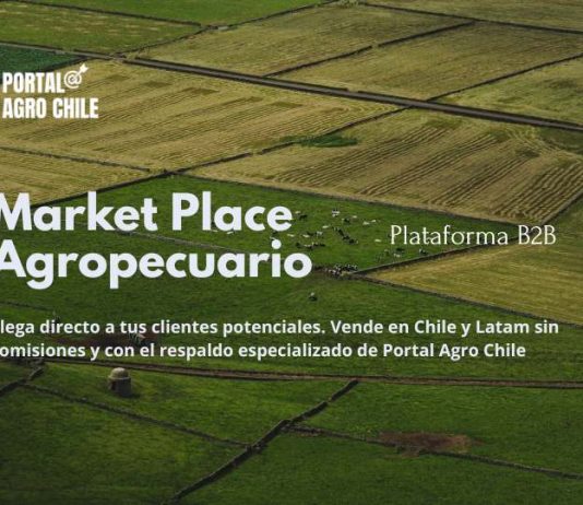 Portal Agro Chile Lanza la Primera Plataforma de Negocios B2B para la Industria Agropecuaria sin Comisiones Portal Agro Chile Lanza la Primera Plataforma de Negocios B2B para la Industria Agropecuaria sin Comisiones