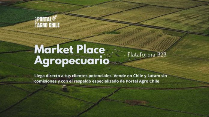 MarketPlace Agropecuario B2B Portal Agro Chile Lanza la Primera Plataforma de Negocios B2B para la Industria Agropecuaria sin Comisiones