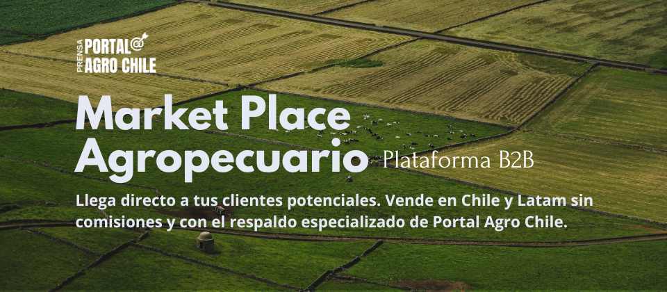 MarketPlace Agropecuario