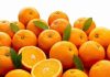 Marruecos cuadruplica sus exportaciones de naranja a Alemania Marruecos cuadruplica sus exportaciones de naranja a Alemania