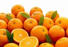 Marruecos cuadruplica sus exportaciones de naranja a Alemania Marruecos cuadruplica sus exportaciones de naranja a Alemania