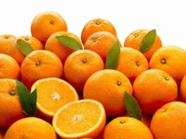 Marruecos cuadruplica sus exportaciones de naranja a Alemania Marruecos cuadruplica sus exportaciones de naranja a Alemania