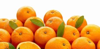 Marruecos cuadruplica sus exportaciones de naranja a Alemania Marruecos cuadruplica sus exportaciones de naranja a Alemania