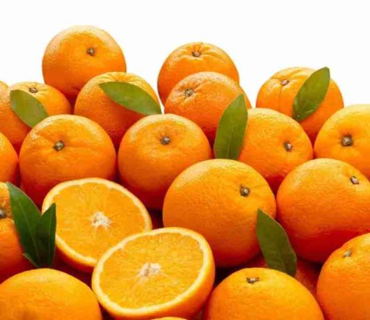 Marruecos cuadruplica sus exportaciones de naranja a Alemania Marruecos cuadruplica sus exportaciones de naranja a Alemania