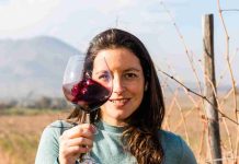 Más allá de una medalla: el valor de ser reconocido en Carmenère al Mundo Más allá de una medalla: el valor de ser reconocido en Carmenère al Mundo