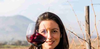 Más allá de una medalla: el valor de ser reconocido en Carmenère al Mundo Más allá de una medalla: el valor de ser reconocido en Carmenère al Mundo