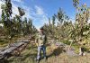 Más eficiencia y competitividad: CNR fortalece la mediana agricultura del Maule con riego tecnificado Más eficiencia y competitividad: CNR fortalece la mediana agricultura del Maule con riego tecnificado