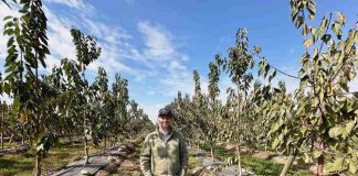 Más eficiencia y competitividad: CNR fortalece la mediana agricultura del Maule con riego tecnificado Más eficiencia y competitividad: CNR fortalece la mediana agricultura del Maule con riego tecnificado