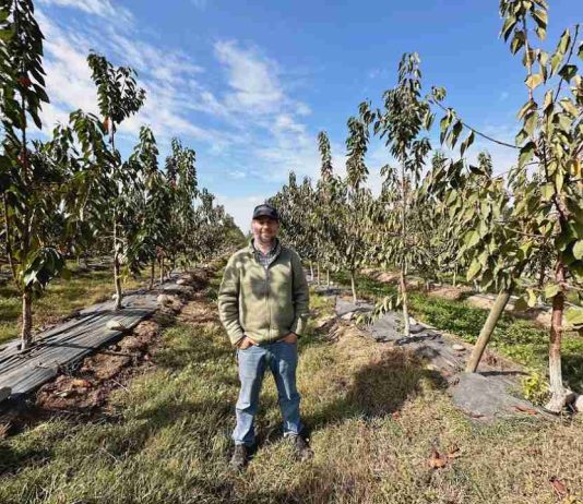Más eficiencia y competitividad: CNR fortalece la mediana agricultura del Maule con riego tecnificado Más eficiencia y competitividad: CNR fortalece la mediana agricultura del Maule con riego tecnificado
