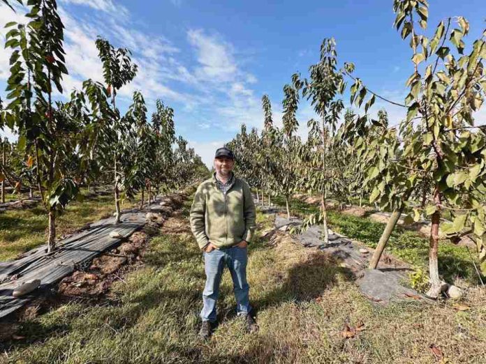 Más eficiencia y competitividad CNR fortalece la mediana agricultura del Maule con riego tecnificado Más eficiencia y competitividad: CNR fortalece la mediana agricultura del Maule con riego tecnificado