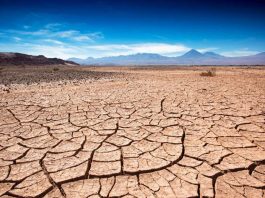 Megasequía en Chile se extiende por más de una década y obliga a replantear la estrategia hídrica Megasequía en Chile se extiende por más de una década y obliga a replantear la estrategia hídrica
