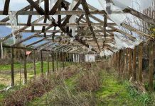 Ministerio de Agricultura refuerza trabajo en terreno en Atacama y Valparaíso tras la declaración de emergencia agrícola Ministerio de Agricultura refuerza trabajo en terreno en Atacama y Valparaíso tras la declaración de emergencia agrícola