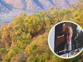 Primera sesión del Consejo Consultivo del Bosque Nativo Primera sesión del Consejo Consultivo del Bosque Nativo