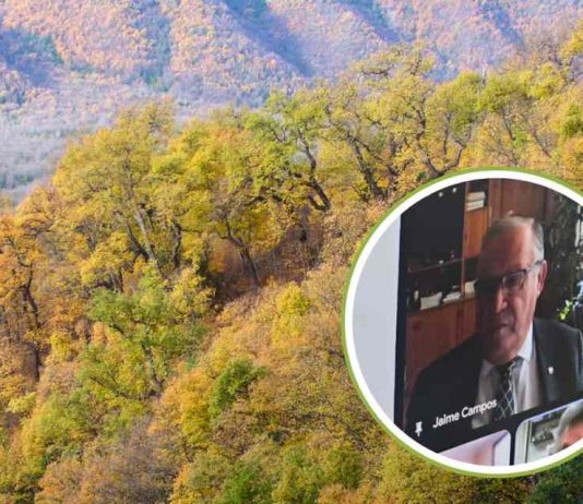 Primera sesión del Consejo Consultivo del Bosque Nativo