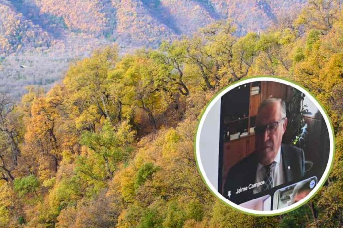 Ministro Campos Es necesario y urgente reformar la legislación forestal actual Primera sesión del Consejo Consultivo del Bosque Nativo